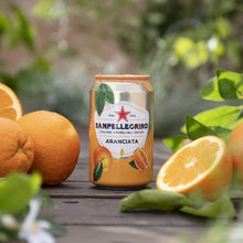 Load image into Gallery viewer, ARANCIATA 330ML CAN