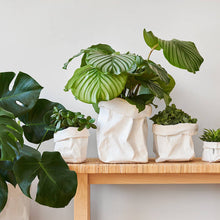 Load image into Gallery viewer, UASHMAMA PAPER BAG WHITE