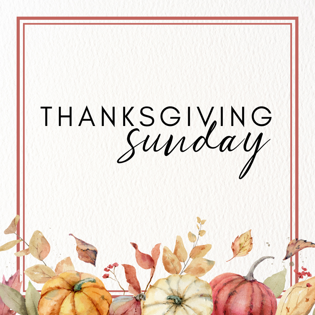 TURKEY DINNER SUNDAY ONLY